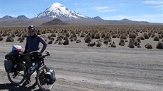 Bolivie, Altiplano, v pozadí sopka Sajama