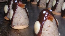 Tu��áci - netradi�ní vosí hnízda