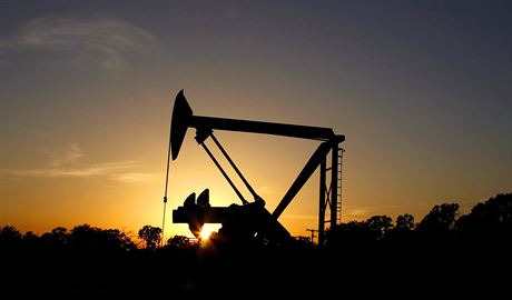 Ceny ropy zaaly klesat ze svých maxim 115 dolar za barel v polovin roku 2014 a nyní se pohybují pod 40 dolary za barel. 