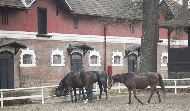 Napajedelský hřebčín má šanci na záchranu, Klempíř nechá prověřit postup resortu
