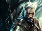 The Witcher Battle Arena