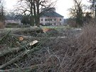 Devorubci káceli od zaátku ledna v ásti parku státního zámku v Ratiboicích...