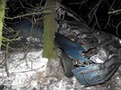 Dvaadvacetiletá idika Renaultu Mégane dostala se svým vozem na zledovatlé...