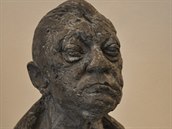 Busta Rudolfa Hrušínského