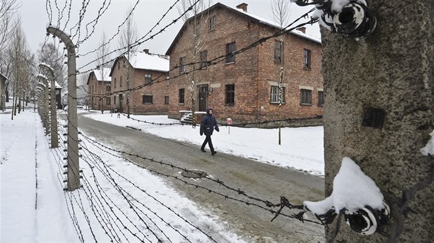 Svět si připomíná 70. výročí osvobození koncentračních táborů v Osvětimi. (26. ledna 2014)