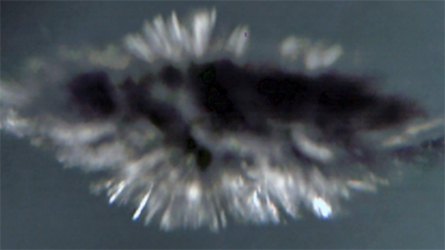 Sn�mky z ultrarychl� kamery zachycuj�c� prim�rn� f�zi v�buchu kapky slitiny sod�ku a drasl�ku ve vod�. Pohled zdola ukazuje, jak z kapky vyl�t�vaj� kousky kovu p�i tzv. coulombovsk� explozi.