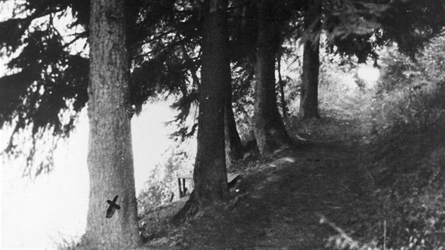 Cesta v Kobylm dole, kde se v lednu roku 1945 strhla pestelka mezi odboji a etnky. Dnes u jsou tato msta pod hladinou elivsk pehrady.