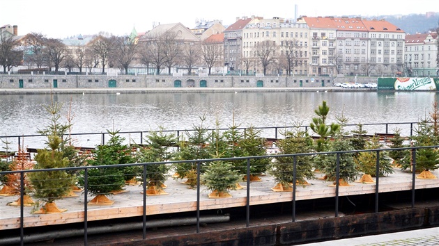 Druhá �ance pro strome�ky