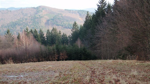 Do lesa, kde mu devo kcel, museli zchrani dorazit pky.