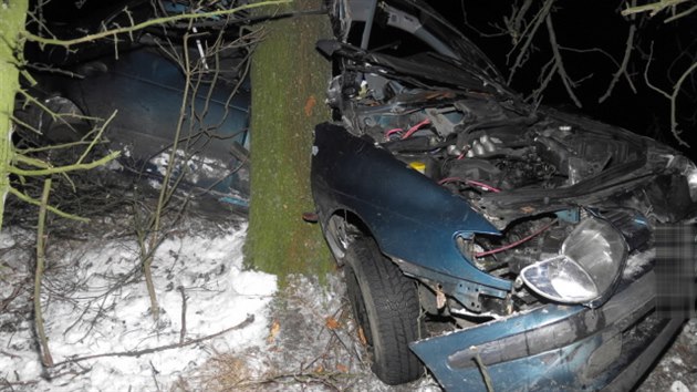 Dvaadvacetilet idika Renaultu Mgane dostala se svm vozem na zledovatl silnici smyk, vyjela ze silnice a narazila do stromu. Utrpla vn zrahnn.