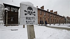 Svět si připomíná 70. výročí osvobození koncentračních táborů v Osvětimi. (26....