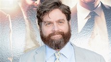 Zach Galifianakis (kvten 2013)