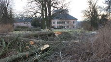 D�evorubci káceli od za�átku ledna v �ásti parku státního zámku v Ratibo�icích...