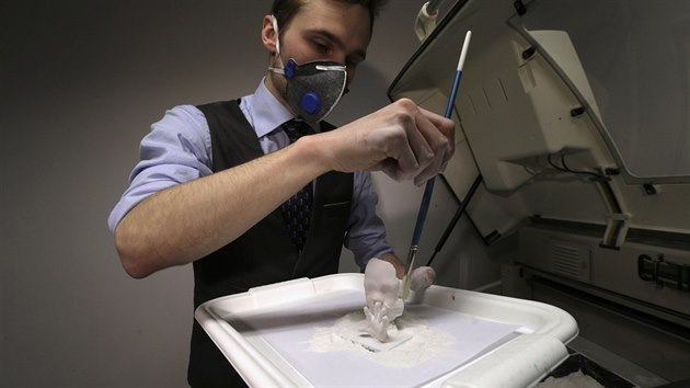 Firma Wolfprint 3D na zklad ultrazvukovho snmku vyrb trojrozmrn modely nenarozench dt (31. ledna 2015).