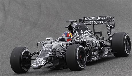 Takhle parádn maskovaný se v Jerezu prohání Daniil Kvyat ze stáje Red Bull.