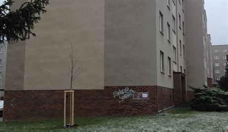 Jií Kala vyfotografoval bílý letáek od EZ nalepený na boní zdi bytového domu.