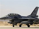 Jeden z jordánských bojových letoun ped odletem z letit ve mst Rakká. (6....