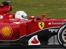 Sebastian Vettel pi testování v Jerezu.