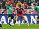 Robert Lewandowski z Bayernu Mnichov se poutí do souboje s obranou Schalke.