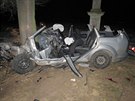 Devatenáctiletá řidička zemřela poté, co se svým vozem narazila do stromu....