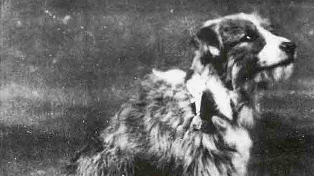 Toto je skuten Lassie, kter zachrnila nmonka z lodi H.M.S. Formidable.
