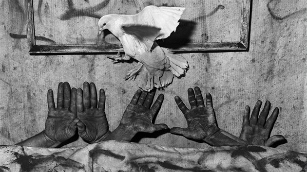 Roger Ballen - Five hands