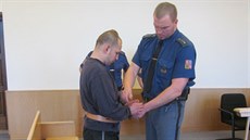 Petr Zvona�, který zaúto�il na spolubydlícího ma�etou, si odpyká ve v�zení 16...