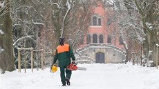 Zahradníci v sychrovském parku vysadí jet letos 650 nových strom a skoro 13...