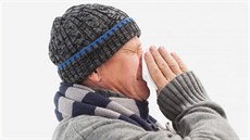 V chladu se rhinovir�m da�í obzvlá�� dob�e, proto nás ka�el a rýma trápí...