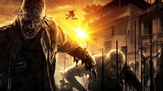 Dying Light