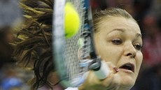 Polka Agnieszka Radwaská v utkání Fed Cupu proti Rusku.