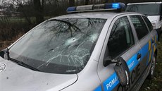 Rozbité pední sklo policejního vozu po útoku krávy (2.2.2015).