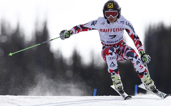 Rakuanka Anna Fenningerová na trati obího slalomu na MS v Beaver Creeku.