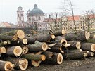 Zámek v Jaromicích nad Rokytnou se schovává za hromady pokácených strom.