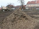 Kácení strom u zámku v Jaromicích nad Rokytnou.