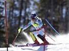 Mikaela Shiffrinová na slalomové trati na mistrovství svta