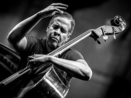 Michael Parque (Francie): Stanley Clarke (z finále soute Jazz World Photo)