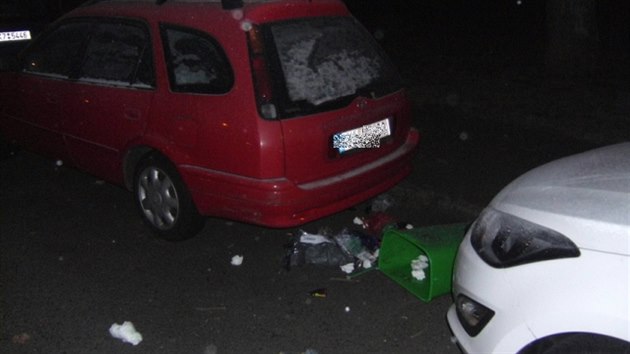 Ostrovt policist obvinili z vtrnictv mue, kter hzel po zaparkovanch autech odpadkov koe.