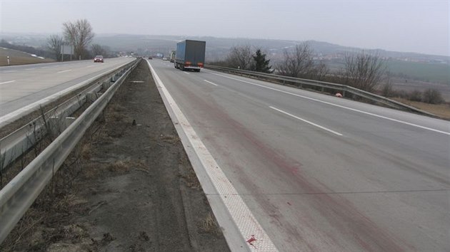 Srky aut na D1 se selaty (19. nora 2015).