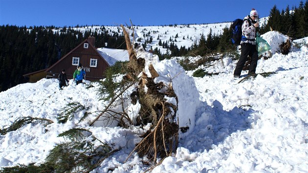 Modrý důl u chaty Děvín v Krkonoších po pádu laviny (11.2.2015).