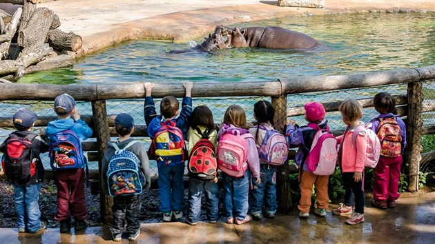 D�ti v zoologické zahrad�.