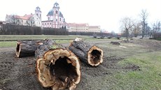 Kácení strom u zámku v Jaromicích nad Rokytnou.