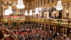 Ples Vídeňské filharmonie je velmi tradiční společenská událost. Na ten letošní...