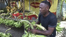 Rozdíl mezi chuov nevýrazným banánem z eských supermarket a banánem, který...