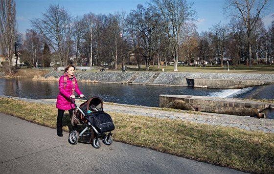 V úseku od Malého jezu po Kaplíovu ulici vyroste na pravém behu Male zídka,...