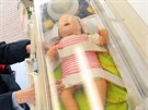 Karlovartí záchranái mají zbrusu novou novorozeneckou sanitku. Na snímku...