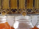 Med vytéká z rámek samospádem.