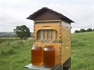 Vela snadno objede úly rozmístné po hospodáství a ulehí jim od medu.