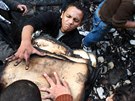 Islamisté v Mosulu spálili vzácné rukopisy. Ilustraní snímek