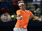 Roger Federer ve finále turnaje v Dubaji.